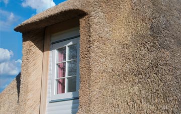 Ermine thatch roof disadvantages
